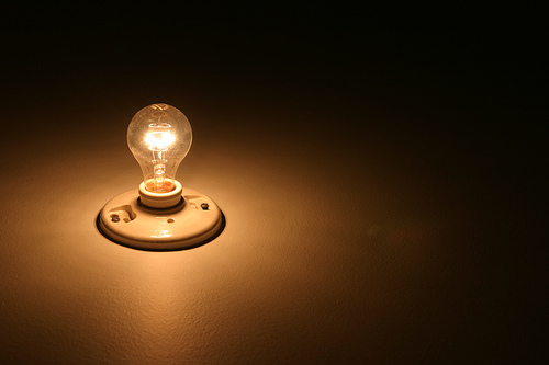 Bulb