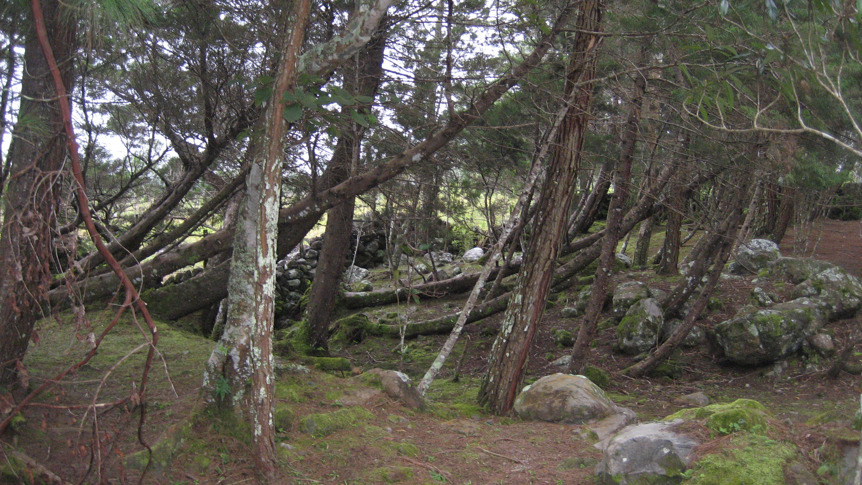 Mark 4 the rocky and unprepared soil