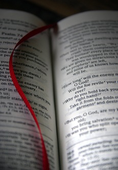 bible6.jpgg-thumb.jpg