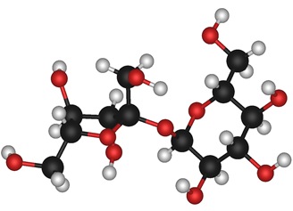 sucrose molecule